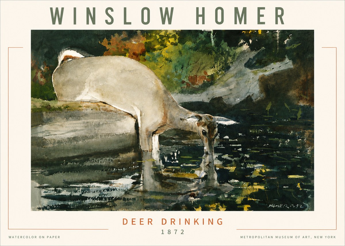 Winslow Homer Deer Drinking No4 - Plakát