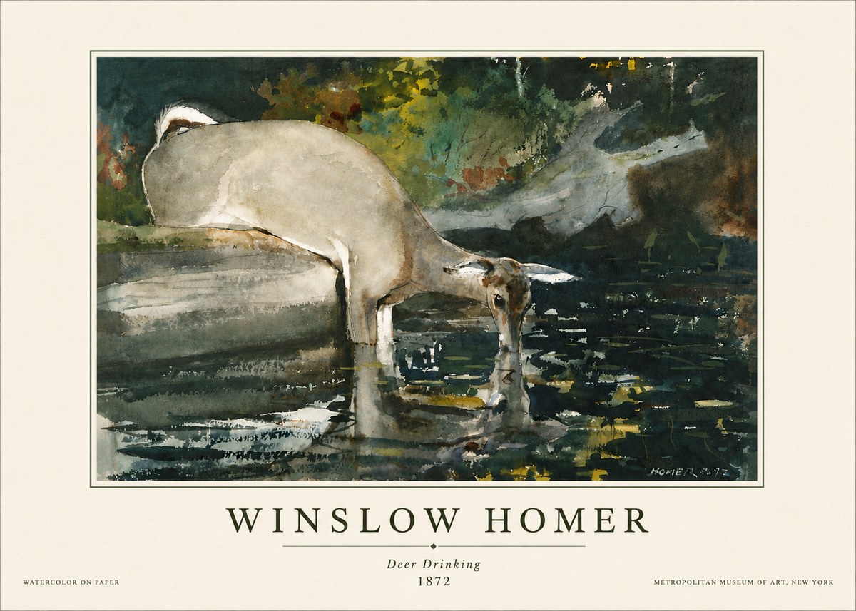 Winslow Homer Deer Drinking No5 - Plakát
