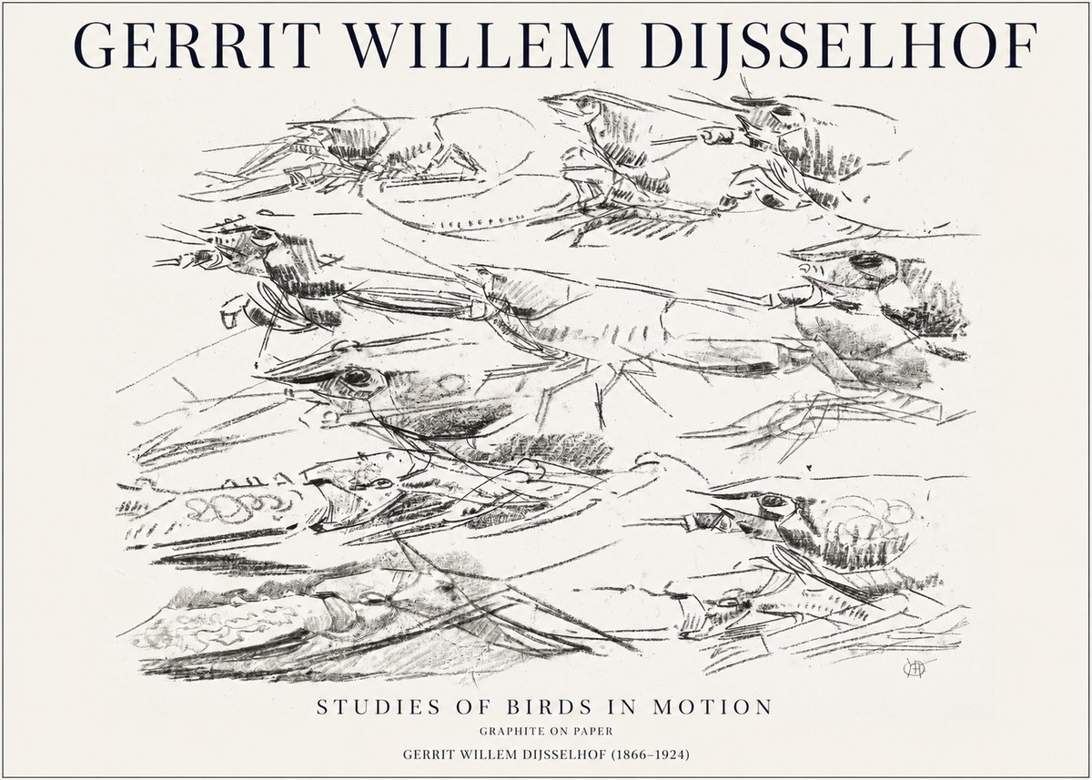 Gerrit Willem Dijsselhof Studies of Birds in Motion No1 - Plakát