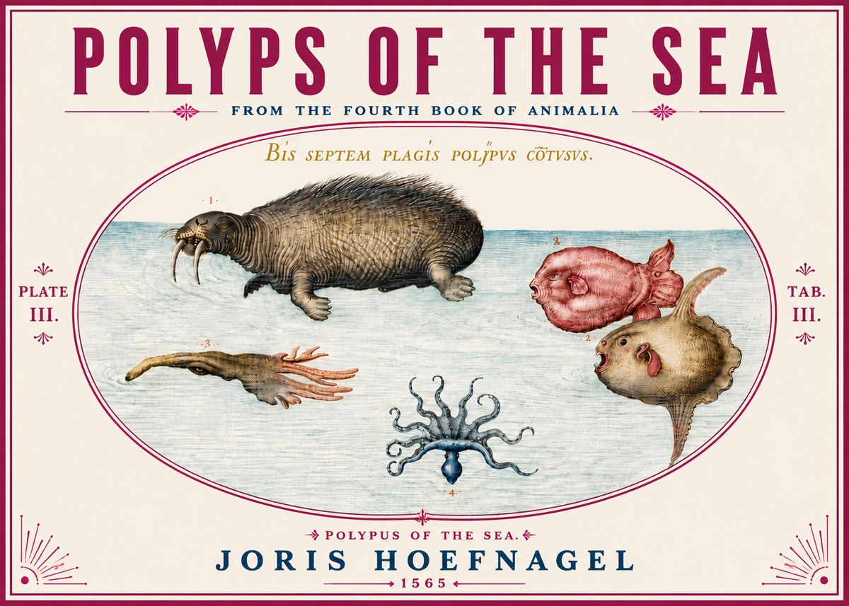 Joris Hoefnagel Polyps of the Sea No6 - Plakát