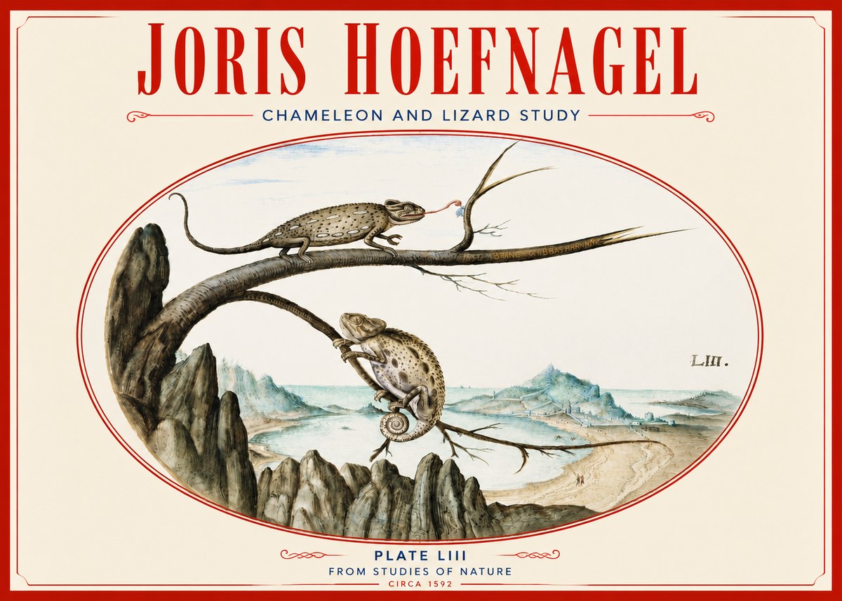 Joris Hoefnagel Chameleon and Lizard No4 - Plakát
