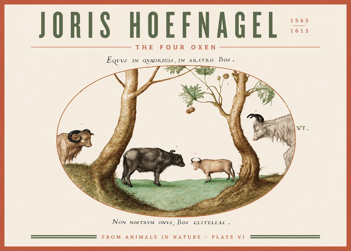 Joris Hoefnagel The Four Oxen No3 - Plakát