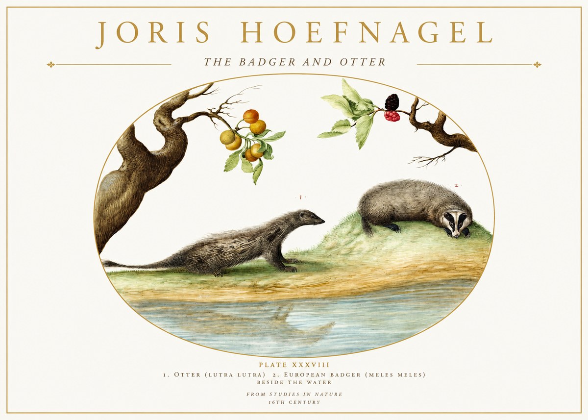 Joris Hoefnagel Studies of Animals and Nature Xxxxiii No2 - Plakát
