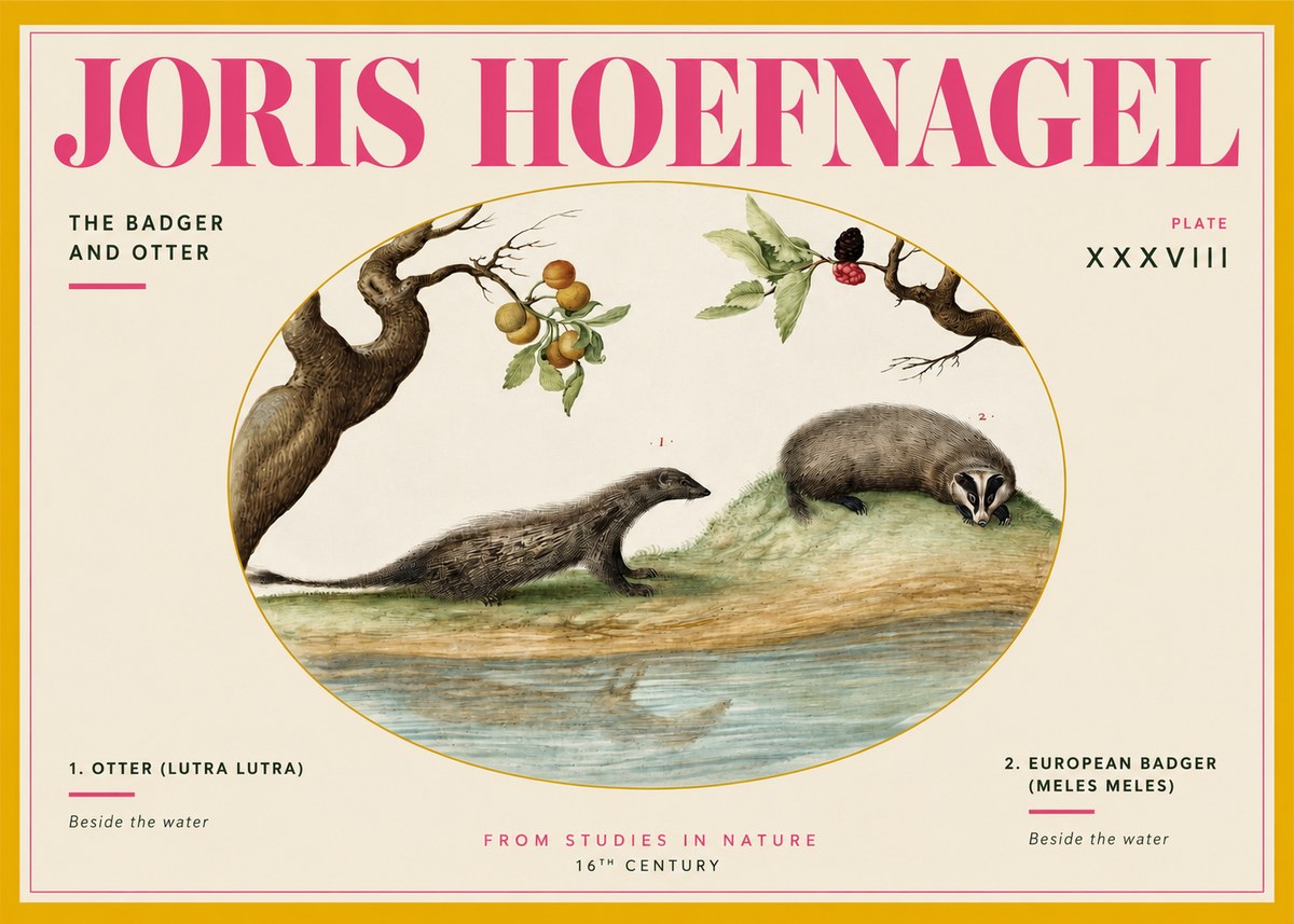 Joris Hoefnagel Studies of Animals and Nature Xxxxiii No4 - Plakát