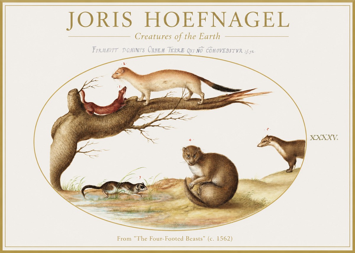 Joris Hoefnagel Creatures of the Earth I No1 - Plakát