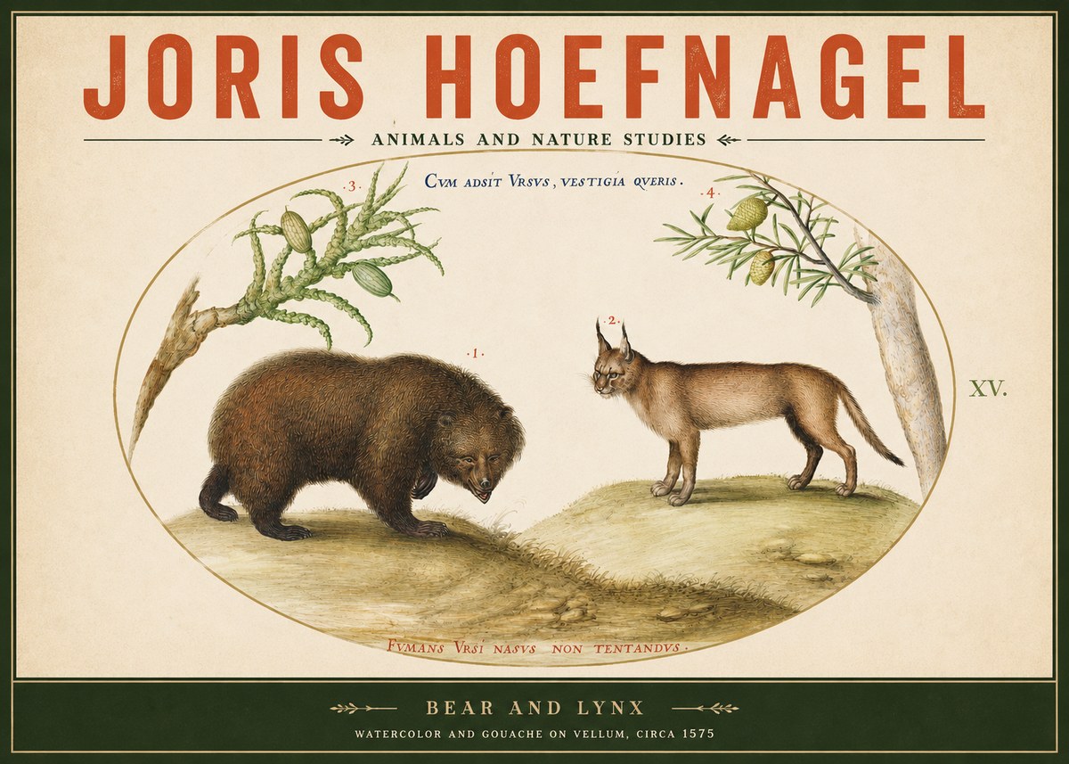 Joris Hoefnagel Bear and Lynx No2 - Plakát
