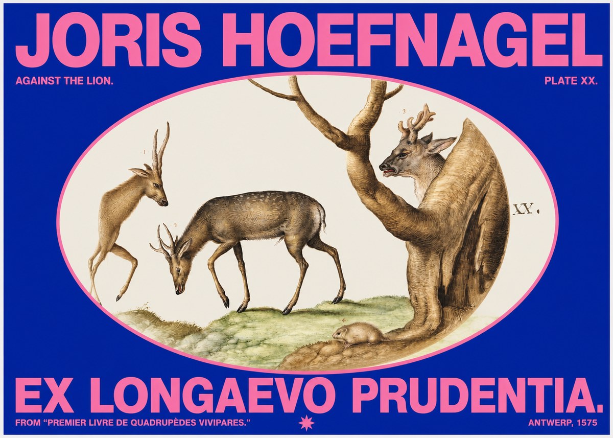 Joris Hoefnagel Do Not Rush Against the Lion. No6 - Plakát