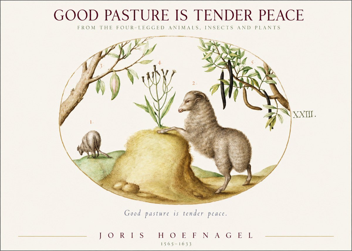 Joris Hoefnagel Good Pasture Is Tender Peace. No1 - Plakát
