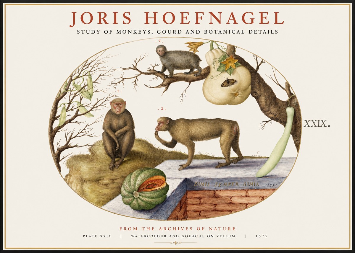Joris Hoefnagel But Always a Monkey, Always a Monkey. Plate Xxix No2 - Plakát