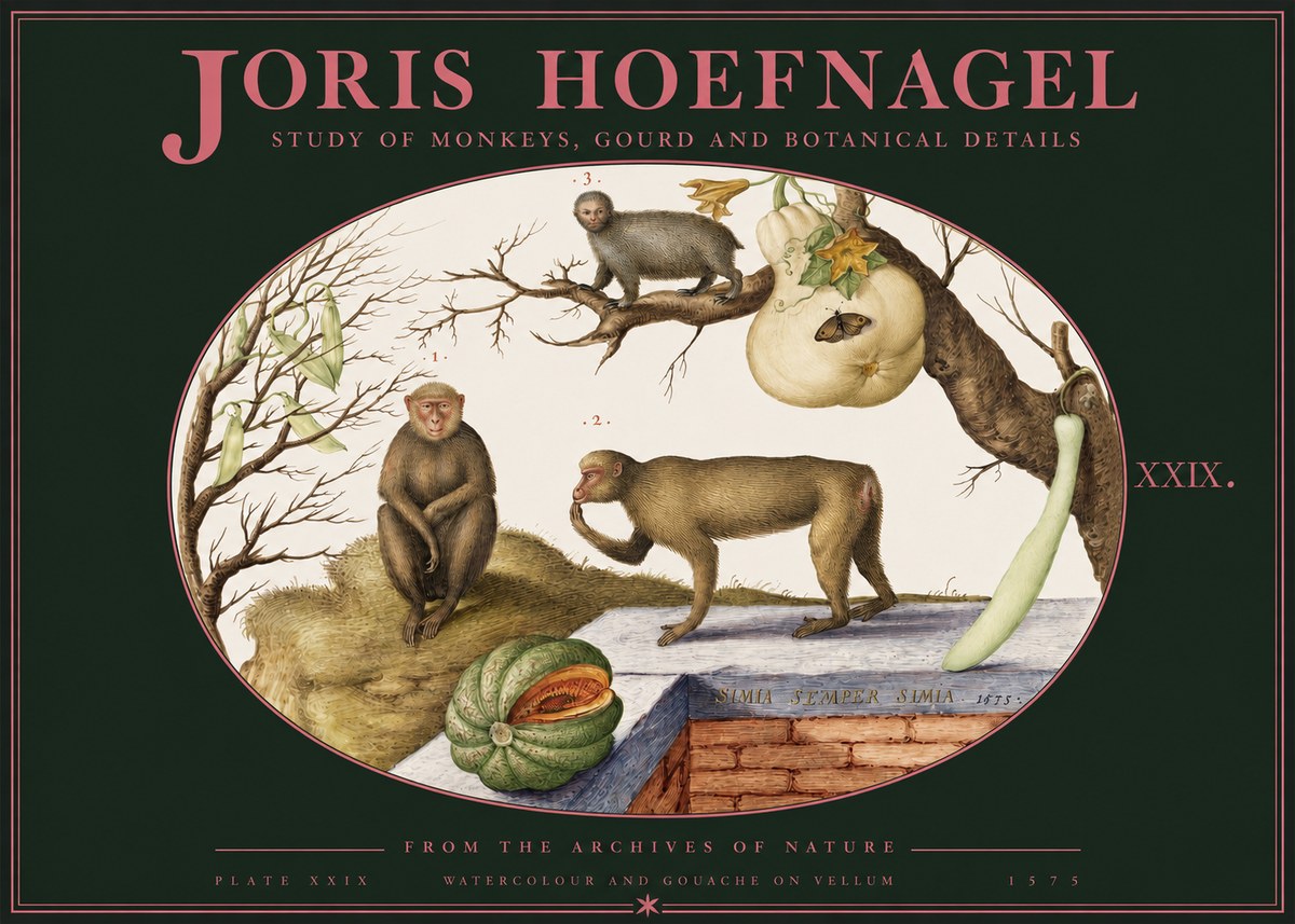 Joris Hoefnagel But Always a Monkey, Always a Monkey. Plate Xxix No3 - Plakát