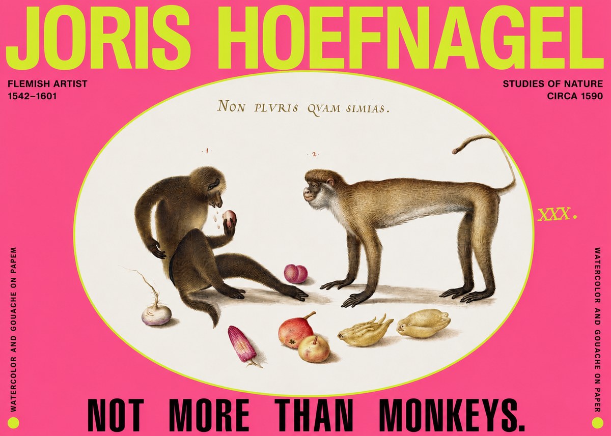 Joris Hoefnagel Not More Than Monkeys No2 - Plakát