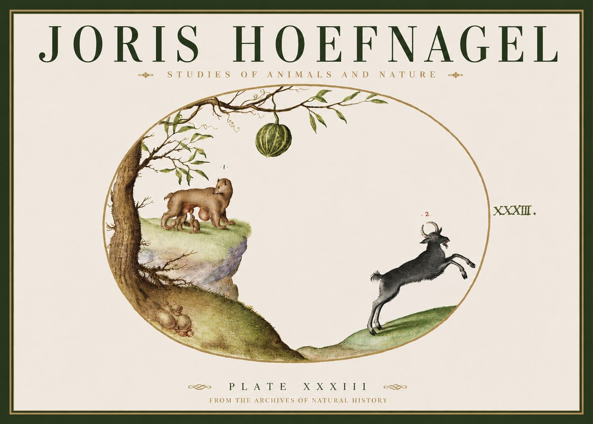 Joris Hoefnagel Plate Xxxiii No3 - Plakát