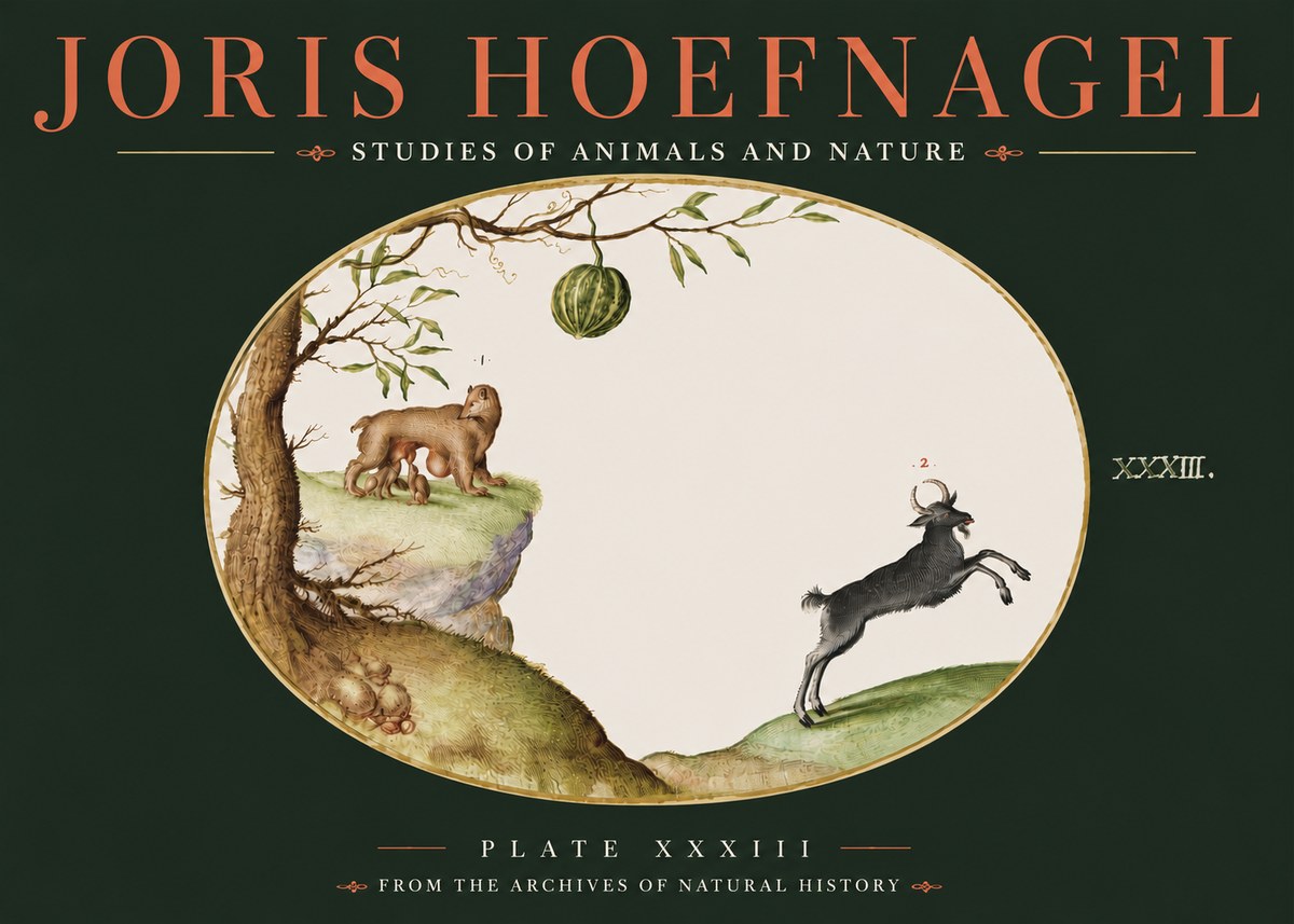 Joris Hoefnagel Plate Xxxiii No4 - Plakát