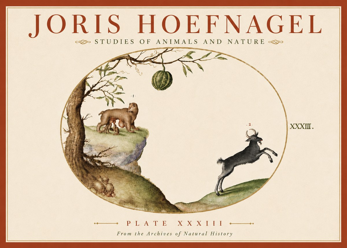 Joris Hoefnagel Plate Xxxiii No6 - Plakát