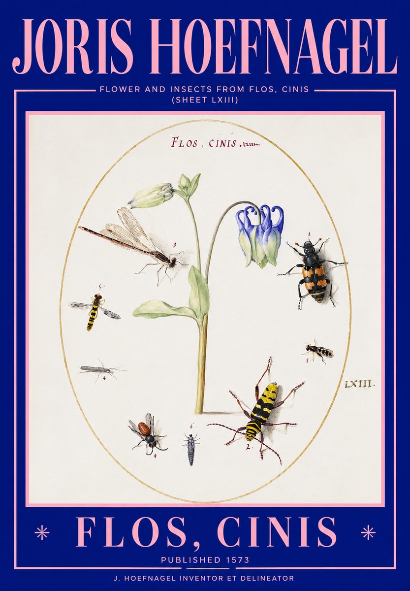 Joris Hoefnagel Insects and a Flower Study No3 - Plakát