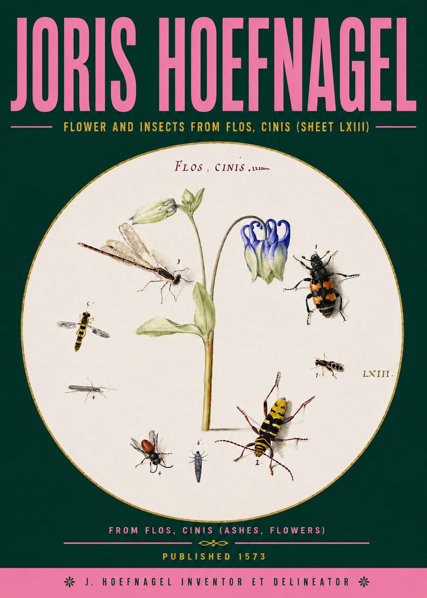 Joris Hoefnagel Insects and a Flower Study No6 - Plakát