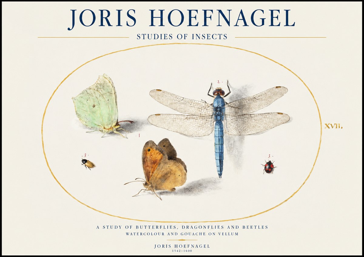 Joris Hoefnagel A Study of Butterflies, Dragonflies and Beetles No1 - Plakát