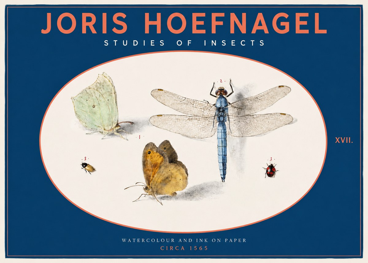 Joris Hoefnagel A Study of Butterflies, Dragonflies and Beetles No3 - Plakát