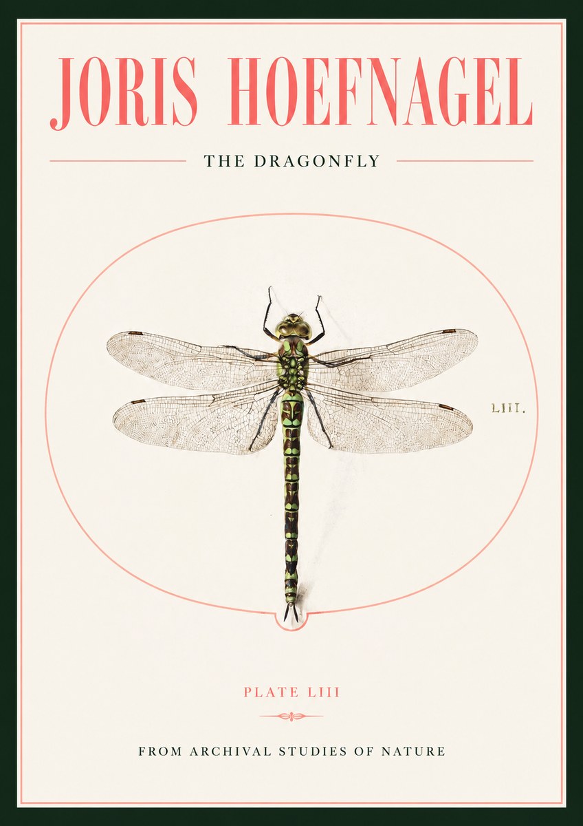 Joris Hoefnagel The Dragonfly No2 - Plakát
