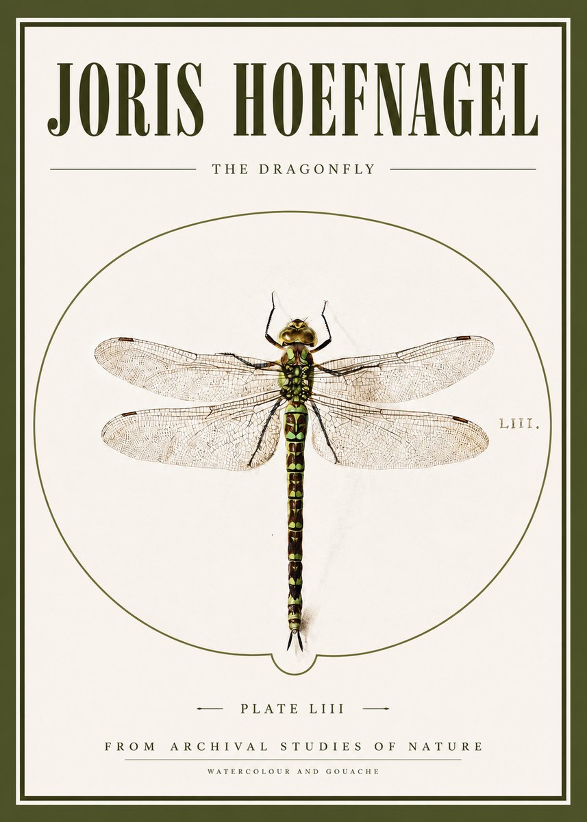 Joris Hoefnagel The Dragonfly No3 - Plakát