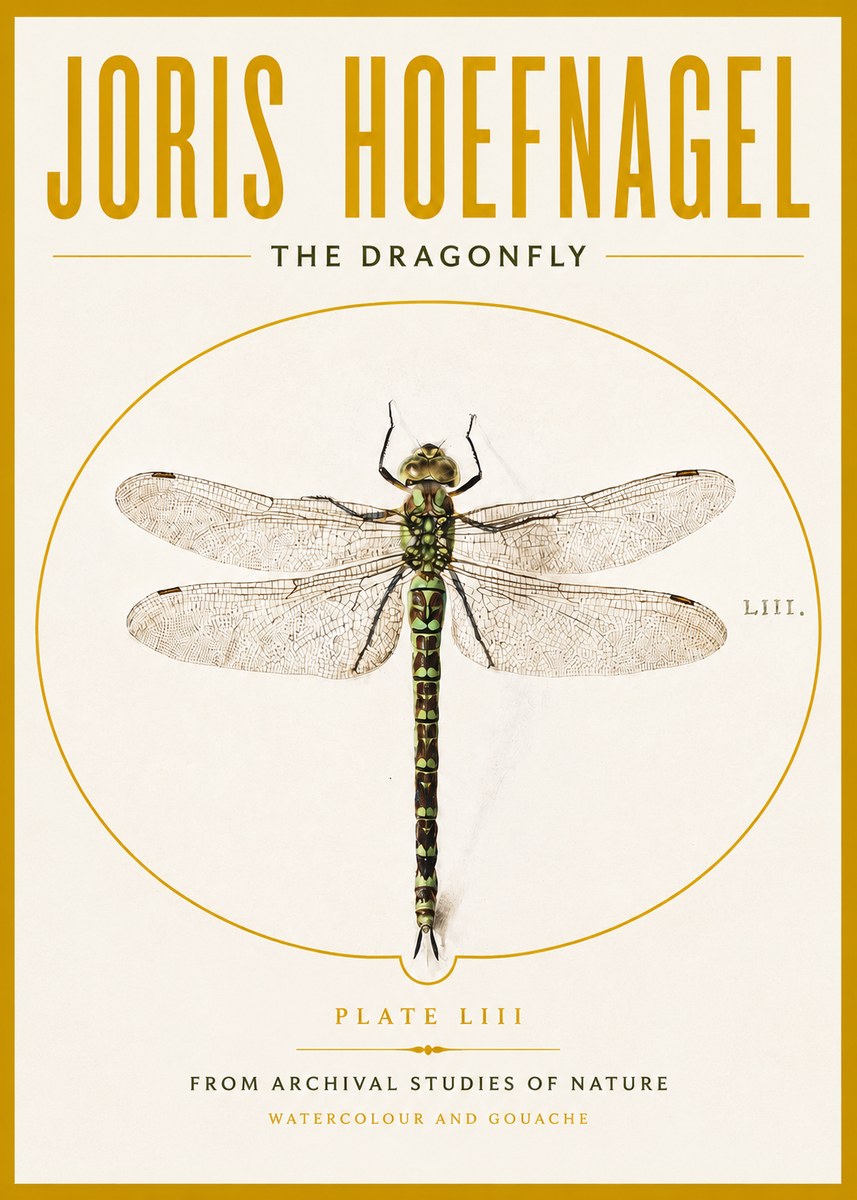 Joris Hoefnagel The Dragonfly No4 - Plakát