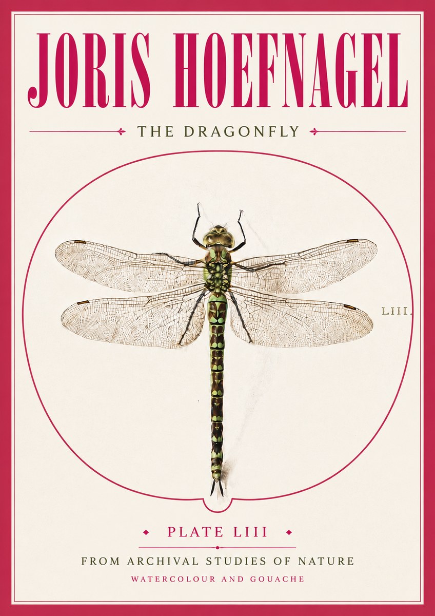 Joris Hoefnagel The Dragonfly No5 - Plakát