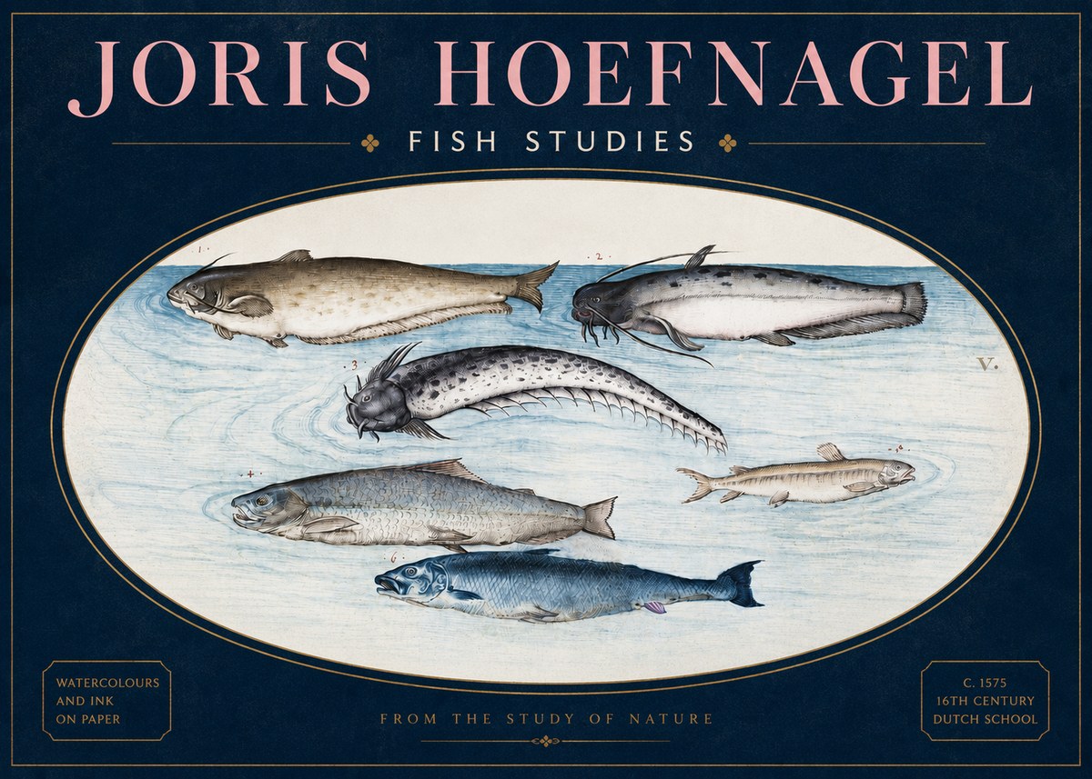 Joris Hoefnagel Fish of the Waters No4 - Plakát