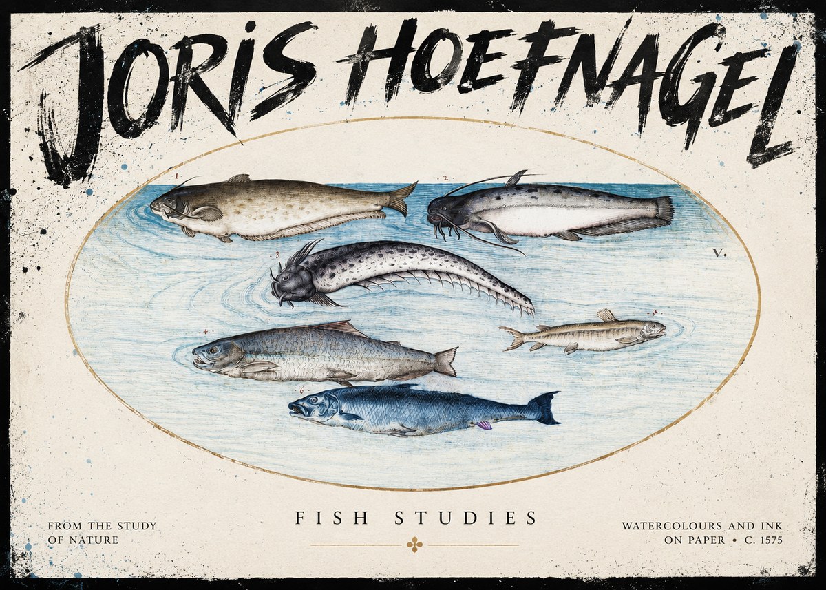 Joris Hoefnagel Fish of the Waters No5 - Plakát