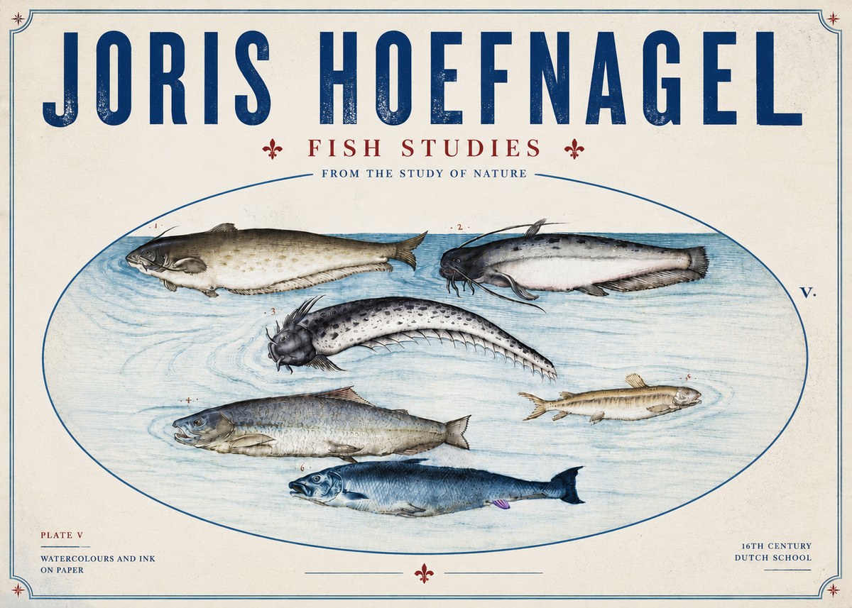 Joris Hoefnagel Fish of the Waters No6 - Plakát