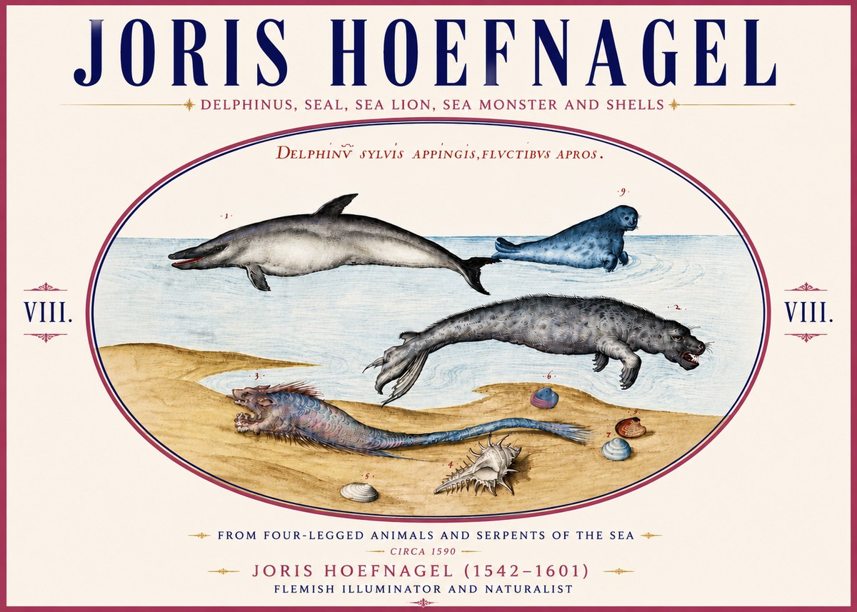 Joris Hoefnagel Delphinus, Seal, Sea Lion, Sea Monster and Shells No6 - Plakát