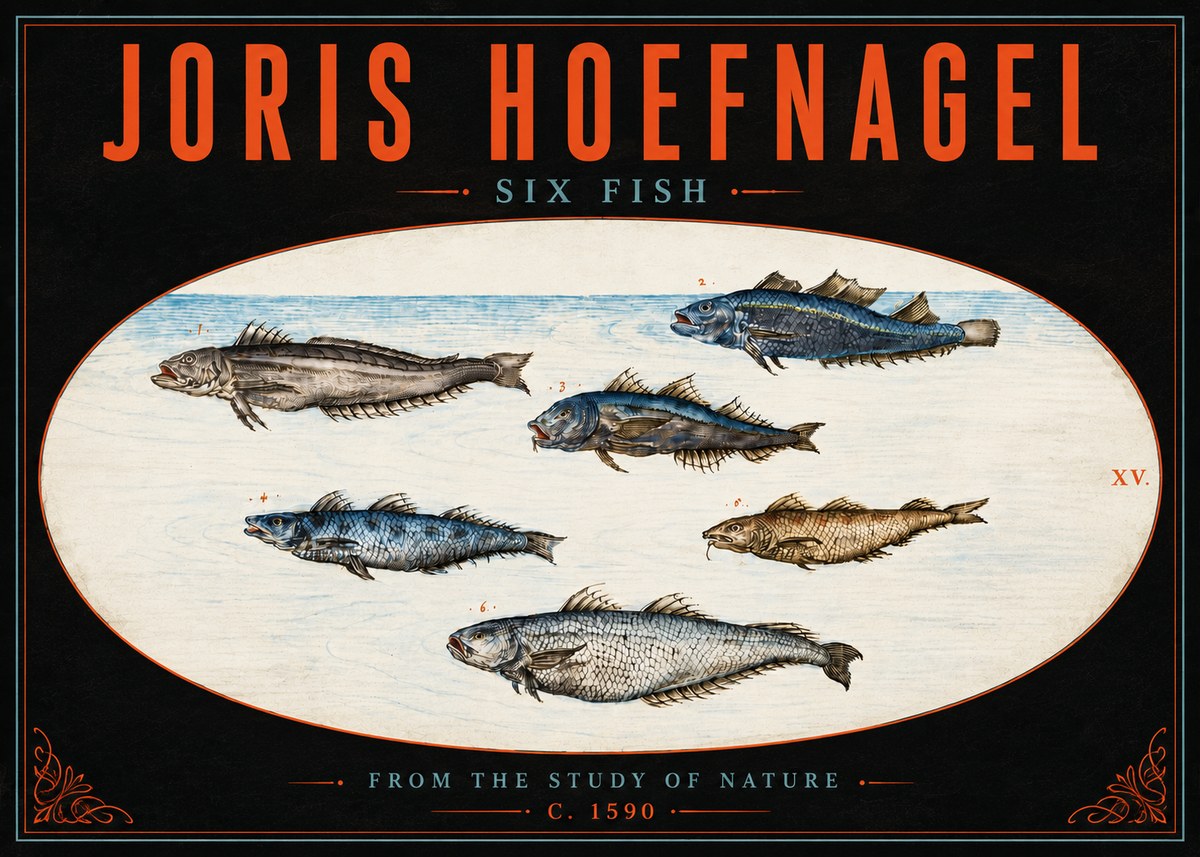Joris Hoefnagel Six Fish No5 - Plakát