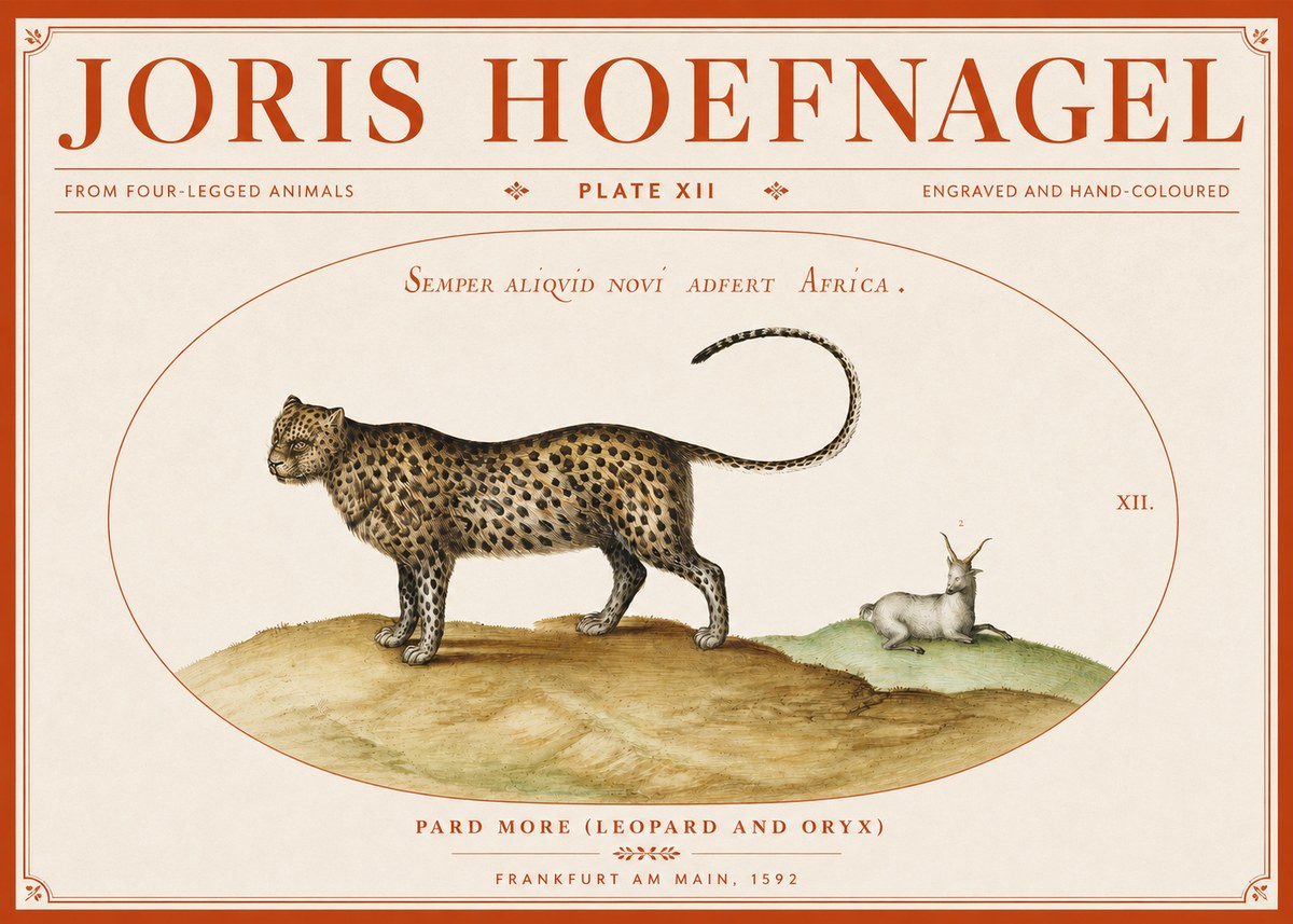 Joris Hoefnagel Pard More (Leopard and Oryx) No3 - Plakát