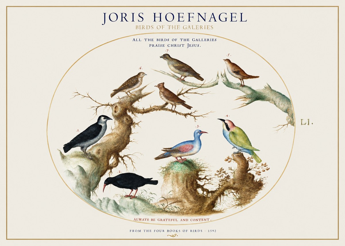 Joris Hoefnagel Birds of the Galeries No1 - Plakát