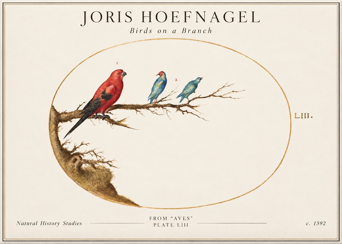 Joris Hoefnagel Birds on a Branch No2 - Plakát