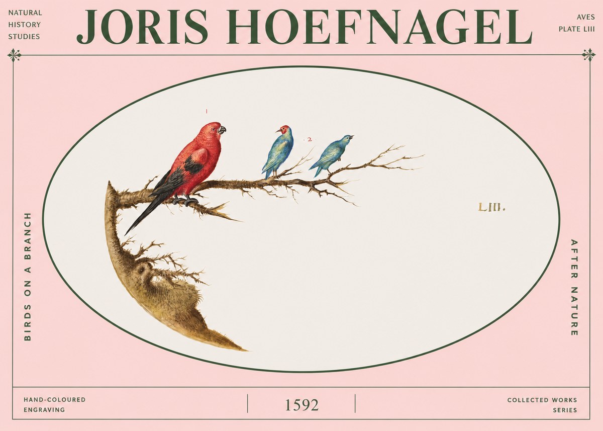 Joris Hoefnagel Birds on a Branch No4 - Plakát