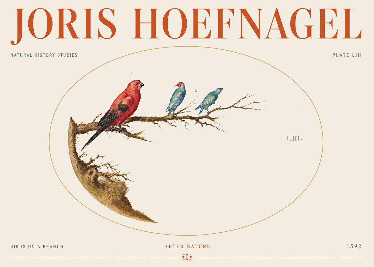 Joris Hoefnagel Birds on a Branch No5 - Plakát