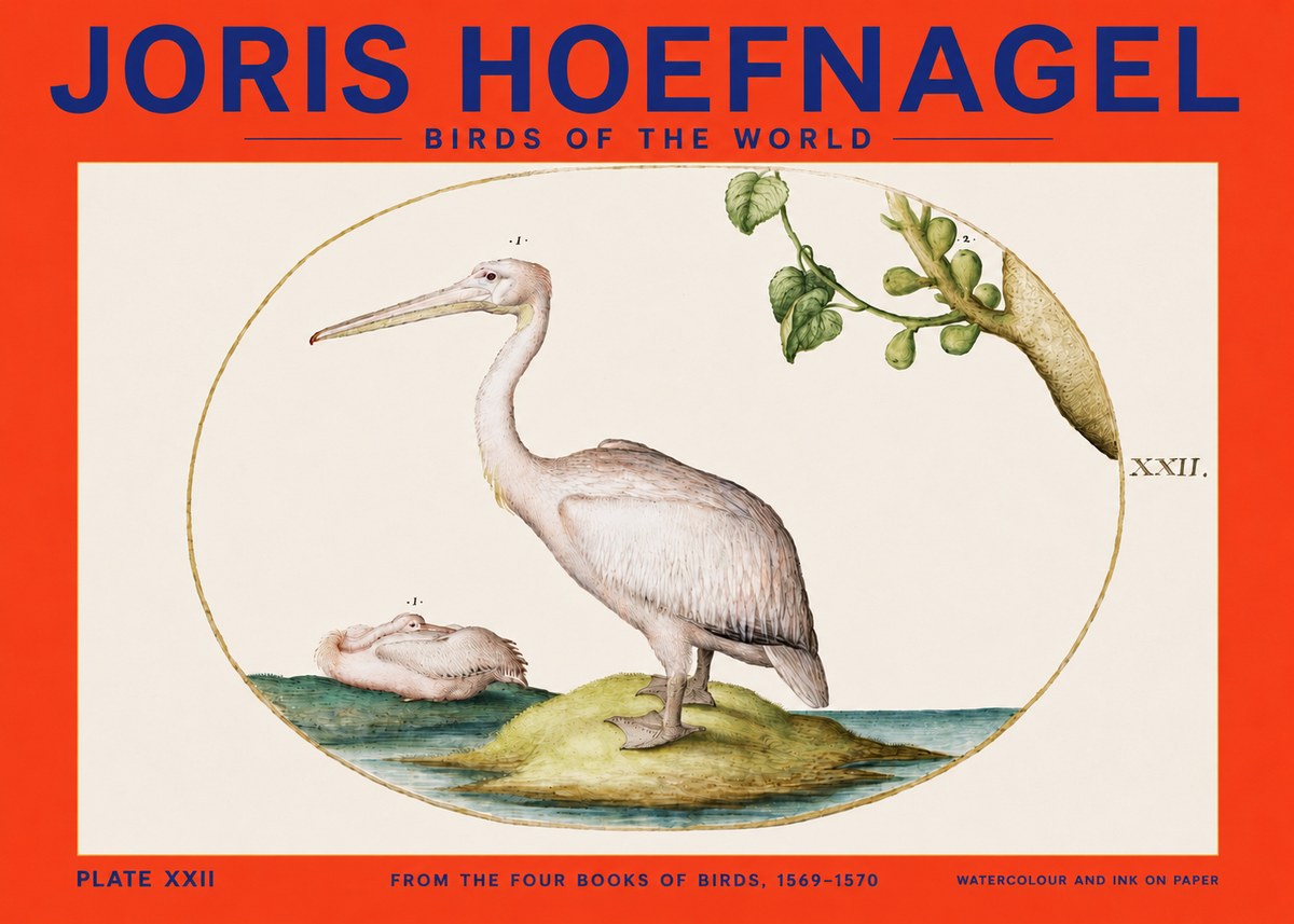 Joris Hoefnagel Plate Xxii No4 - Plakát