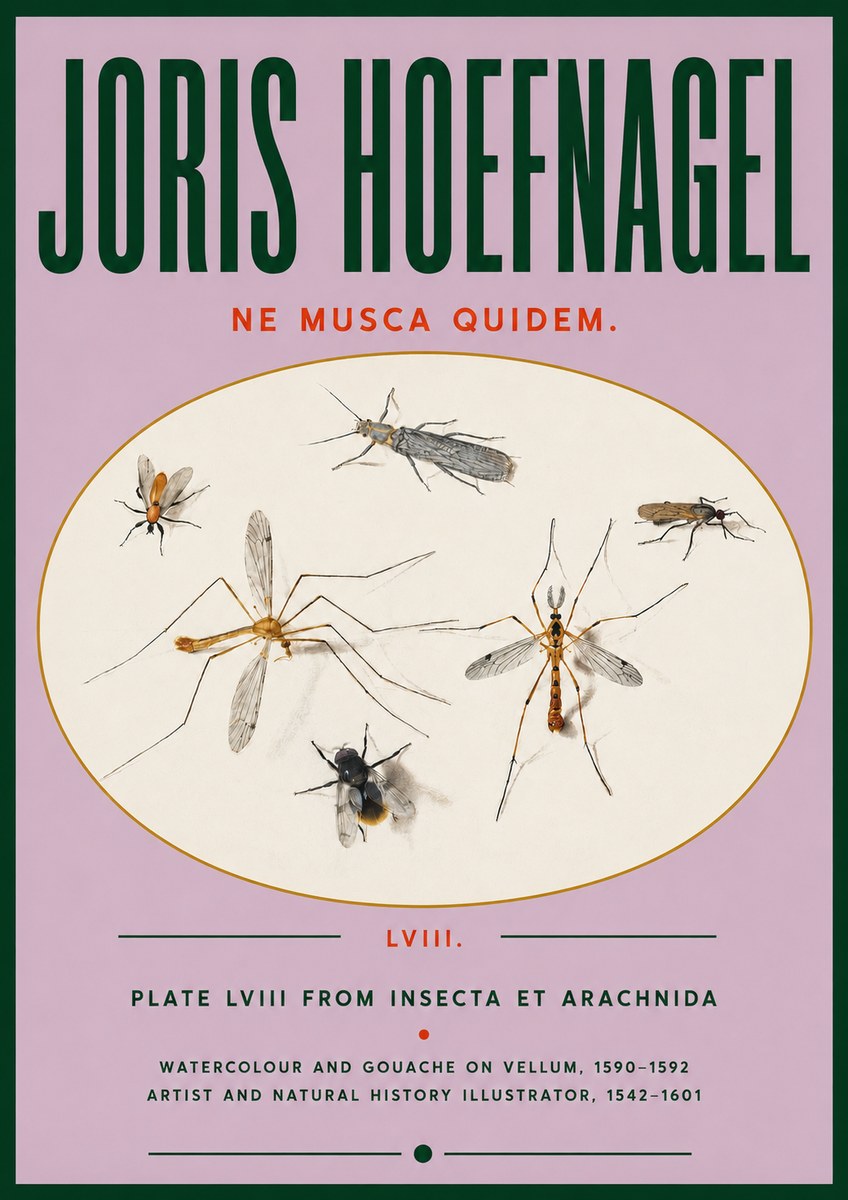 Joris Hoefnagel Plate Lviii from Insecta Et Arachnida No4 - Plakát