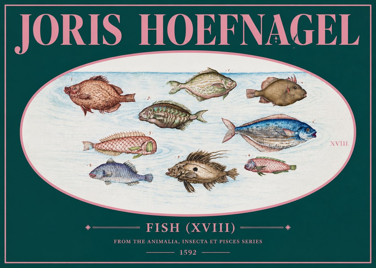 Joris Hoefnagel Studies of Fish I No3 - Plakát
