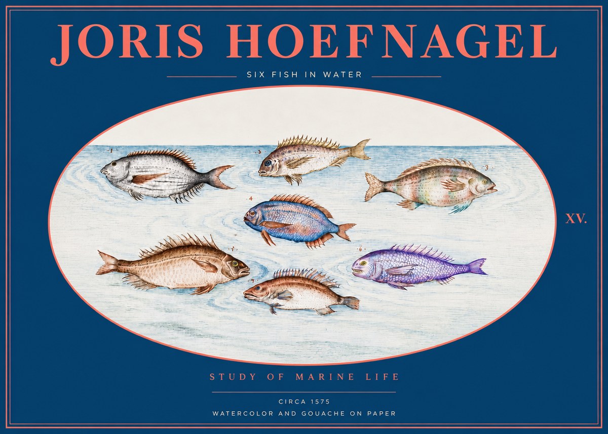 Joris Hoefnagel Six Fish in Water No2 - Plakát