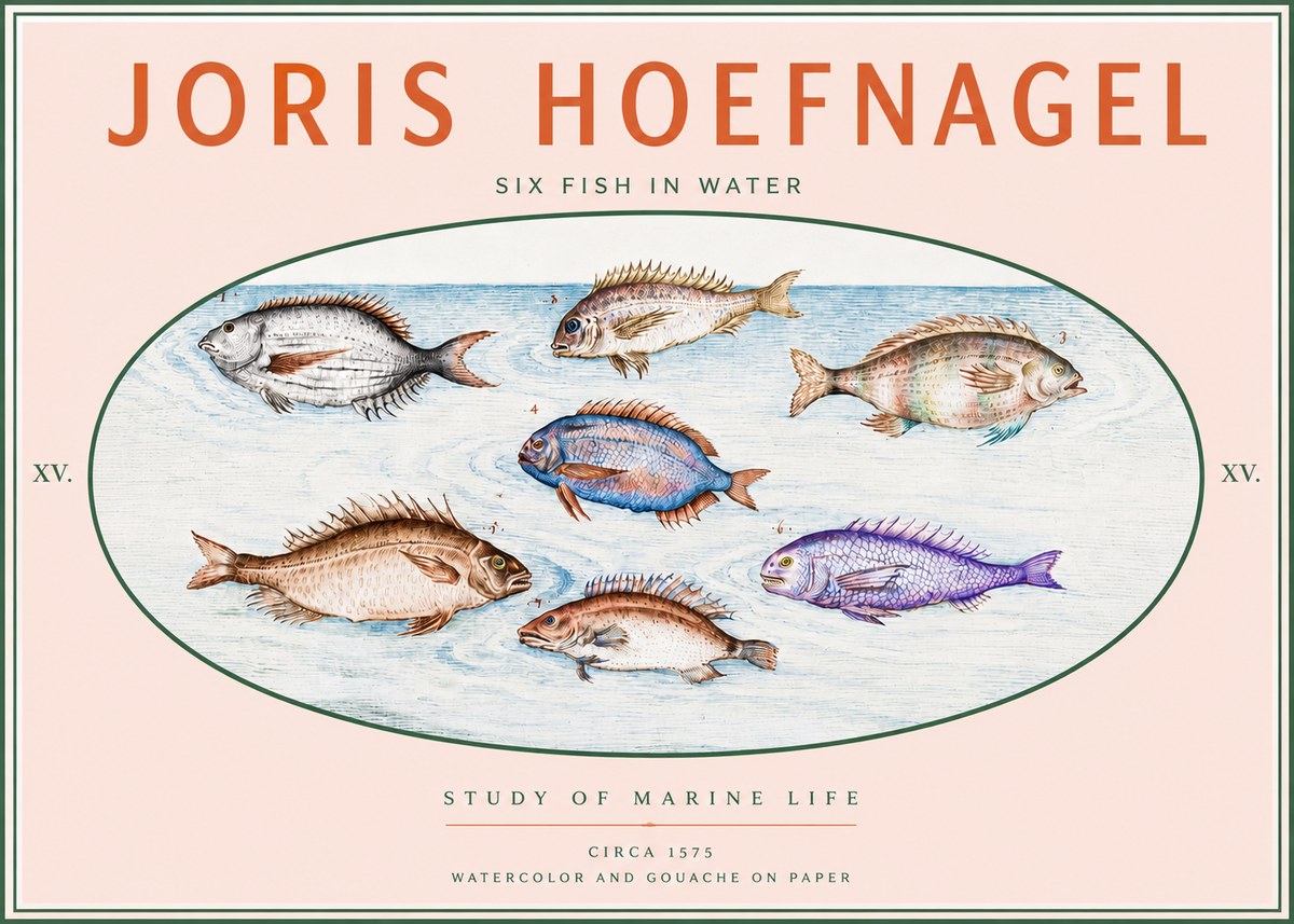 Joris Hoefnagel Six Fish in Water No3 - Plakát