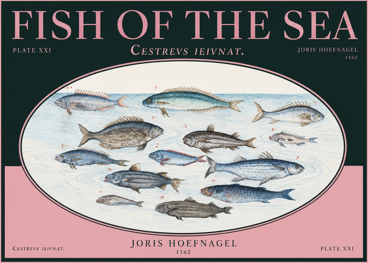 Joris Hoefnagel Fish of the Sea - Cestrevs Ieivnat. Plate Xxi No2 - Plakát