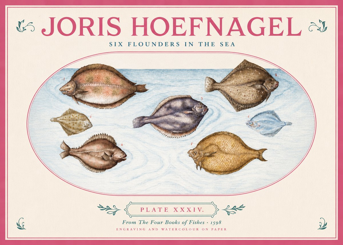 Joris Hoefnagel Six Flounders in the Sea No2 - Plakát