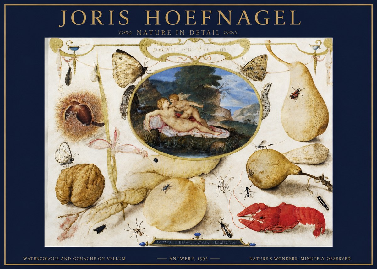 Joris Hoefnagel Nature in Detail No2 - Plakát