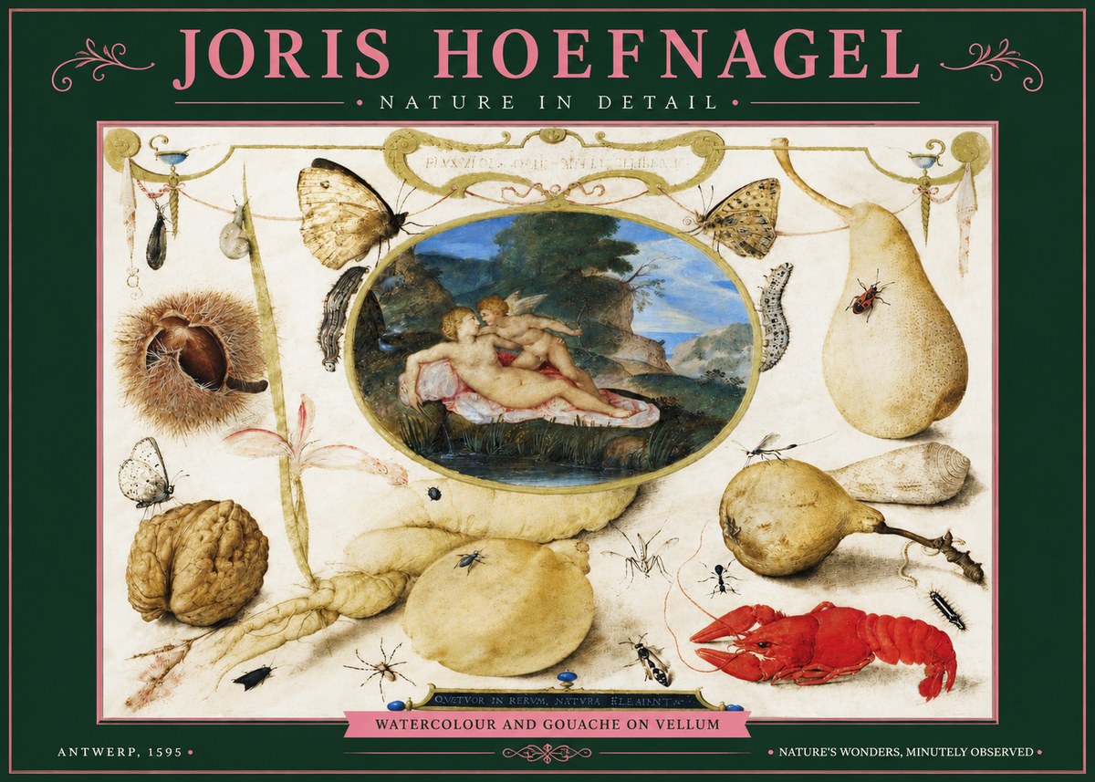 Joris Hoefnagel Nature in Detail No3 - Plakát
