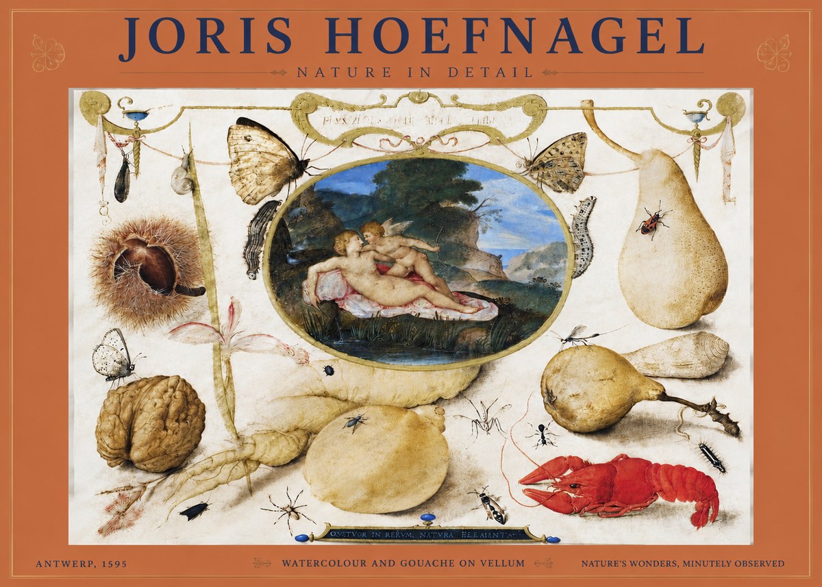 Joris Hoefnagel Nature in Detail No4 - Plakát