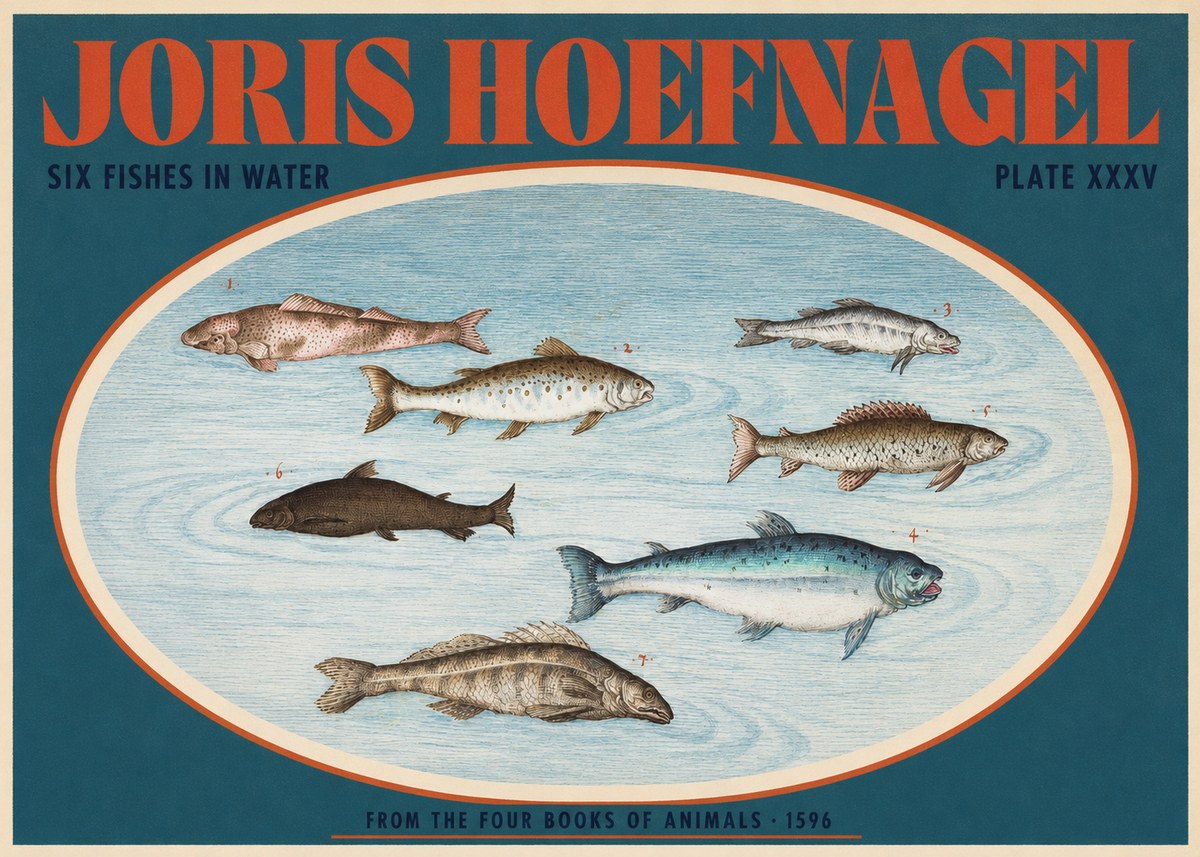 Joris Hoefnagel Six Fishes in Water I No2 - Plakát