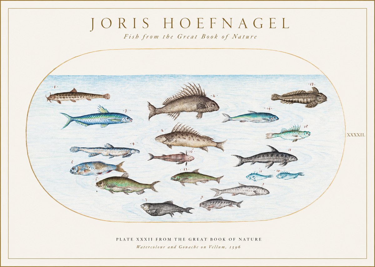 Joris Hoefnagel Fish from the Great Book of Nature No1 - Plakát