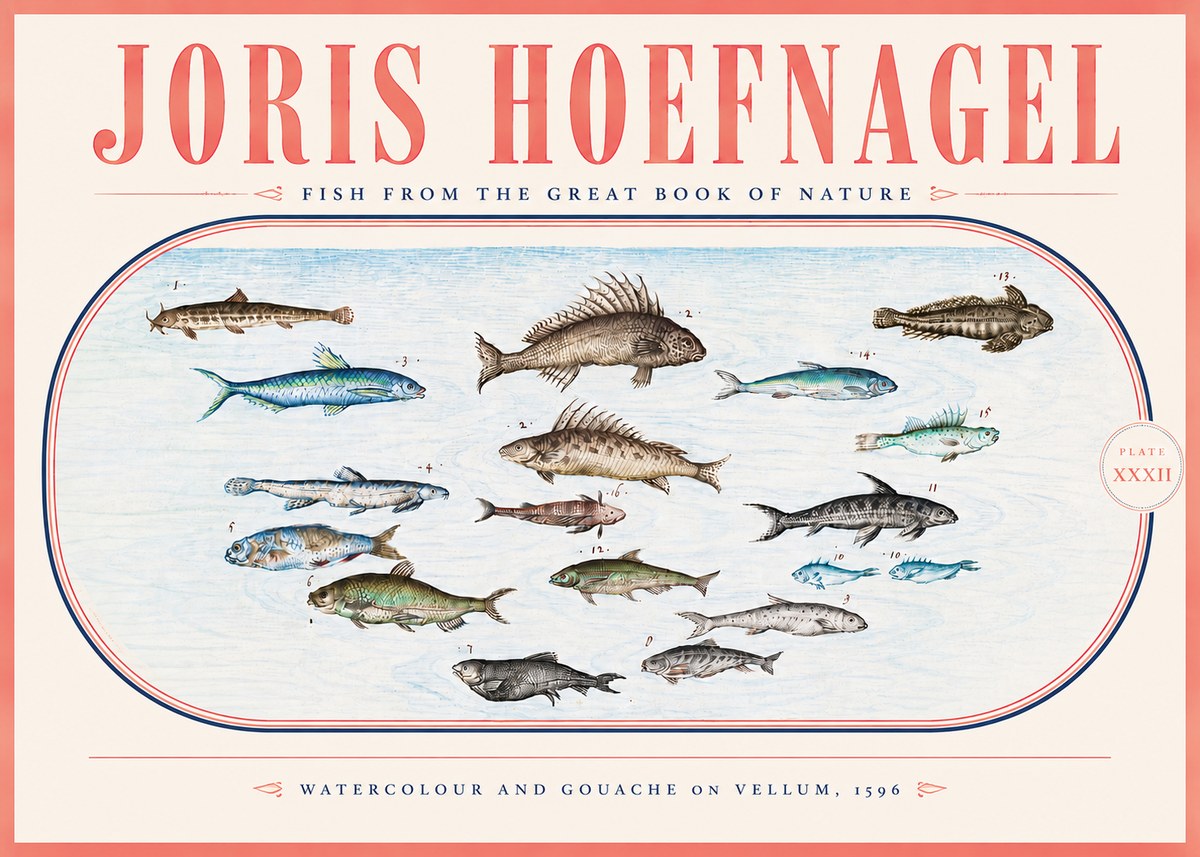 Joris Hoefnagel Fish from the Great Book of Nature No5 - Plakát