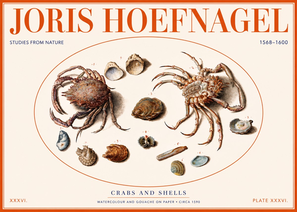 Joris Hoefnagel Crabs and Shells - Studies from Nature No2 - Plakát